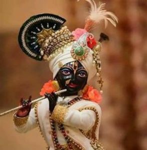 Meet your Posher, Radha